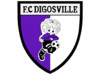 Club logo football club Fc Digosville