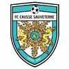 Clublogo voetbalvereniging F.c.c.s