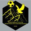 Club logo football club Fcpc
