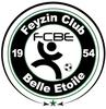 Club logo football club Feyzin Cbe