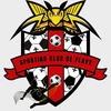 Club logo football club Flavy SC