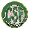Logo du club de football Foecy Cs uit Foecy en Mehun Sur Yevre