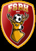 Logo du club de football Football Saint Benoi uit St Benoit La Foret en Chinon en Huismes en Savigny En Veron