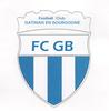 Club logo football club Gatinais FC