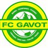 Club logo football club Gavot F.c. uit Feternes en Larringes