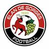 Club logo football club Gorges Elan