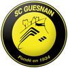 Logo du club de football Guesnain Sc