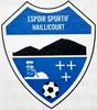 Club logo football club Haillicourt Es
