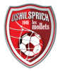 Logo du club de football Hilsprich US