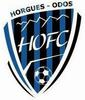 Club logo football club Horgues Odos FC