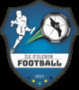 Logo du club de football Ile D'oleron Foot uit St Georges D Oleron en Le Chateau D Oleron en St Pierre D Oleron en St Trojan Les Bains