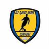 Club logo football club Ile St Denis Csm