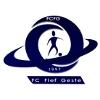 Logo du club de football Le Fief Geste Fc uit Montrevault Sur Evre en La Regrippiere en Beaupreau En Mauges en Sevremoine