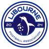 Club logo football club Libourne Foot 2024