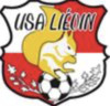 Club logo football club Lievin Usa