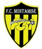 Logo du club de football Montamise Fc uit Montamise en Sevres Anxaumont