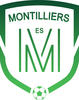 Logo du club de football Montilliers Es