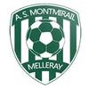 Logo du club de football Montmirail Melleray uit Melleray en Dollon en Vibraye