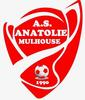 Club logo football club Mulh. Anatolie AS