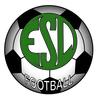 Club logo football club Nd Landes Esl