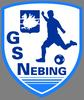 Logo du club de football Nebing AS