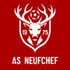 Logo du club de football Neufchef AS