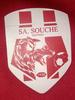 Logo du club de football Niort Soucheen Sa