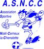 Club logo football club Noel Cerneux