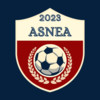 Logo du club de football Noyant Nord Est Anj uit Noyant en Meigne Le Vicomte