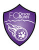Logo du club de football Orsay Bures FC