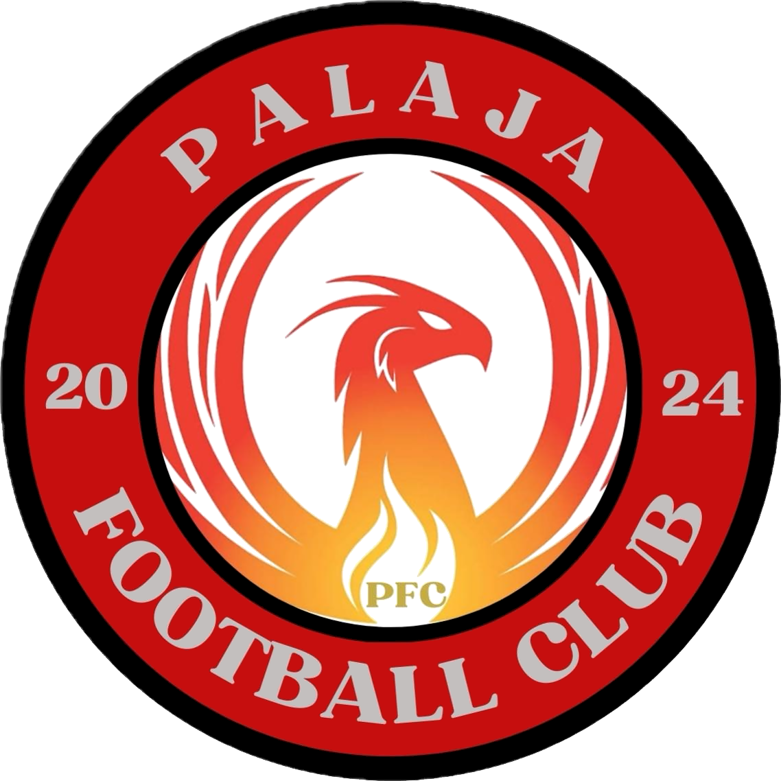 Club logo football club Palaja FC