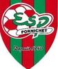 Logo du club de football Pornichet Es