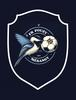 Club logo football club Pouzy Mesan.