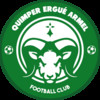 Logo du club de football Quimper Ergue Armel