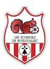 Logo du club de football Roudouallec Ec