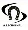 Logo du club de football Schoenau