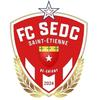 Clublogo voetbalvereniging Sedc FC