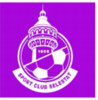 Logo du club de football Selestat SC