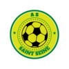 Logo du club de football St Seine
