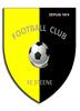 Logo du club de football Steene FC