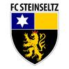 Historic club logo football club FC Steinseltz
