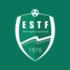 Logo du club de football Thorigne Es uit Thorigne Fouillard