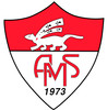 Logo du club de football Vannes Menimur