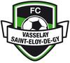 Clublogo voetbalvereniging Vasselay St Eloy Fc uit Vasselay en Fussy en Mery Es Bois en St Martin D Auxigny en Vignoux Sous Les Aix