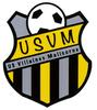 Logo du club de football Villaines Malicorne uit Villaines Sous Malicorne