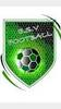 Logo du club de football Villefranche uit Villefranche Sur Cher