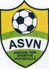 Club logo football club Vivy Neuille 90 uit Vivy en Allonnes en Vernantes