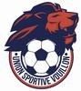 Club logo football club Vouillon Us