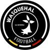Clublogo voetbalvereniging Wasquehal Football uit Wasquehal en Mouvaux en Tourcoing